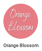 Orange Blossom Menu With Prices