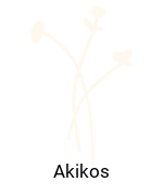 Akiko's Menu With Prices