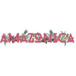 Amazonica logo